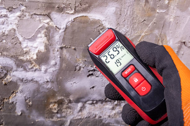 Attic Mold Removal in South Fulton, TN